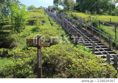 風の丘への階段 118024167