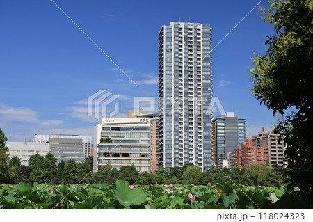 東京都台東区上野公園不忍池の風景 118024323