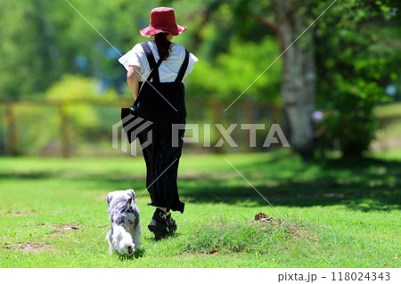 ドッグランで遊ぶ犬 118024343