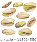 Pistachio nut watercolor illustration set. Botanical drawing sketch stylized. Isolated. Hand drawn, suitable for food packaging design 118024550