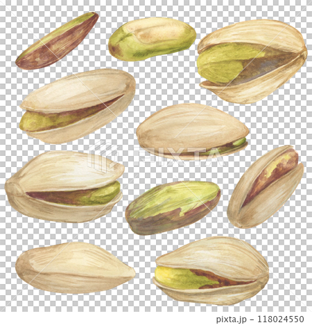 Pistachio nut watercolor illustration set. Botanical drawing sketch stylized. Isolated. Hand drawn, suitable for food packaging design 118024550