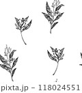 Seamless pattern with flowers graphic illustration, hand drawn sketch , avocado flower. Botanical drawing. Engraving for food packaging design. Plant sketch 118024551