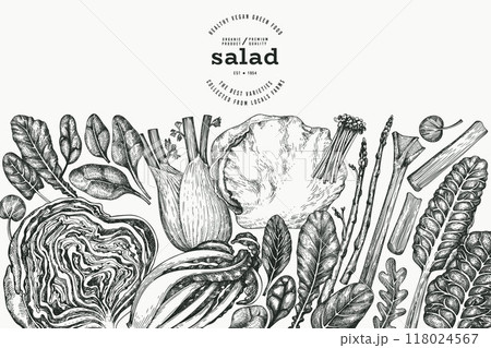 Green Vegetable Design Template. Vector Hand Drawn Healthy Leaf Salad Banner. Vintage Style Menu Illustration. 118024567