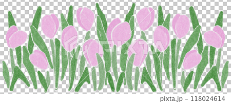 pink Tulips flower Shredded paper 118024614