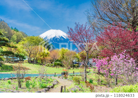 【山梨県】春の花の都公園の散策路から、富士山 【山梨県】春の花の都公園の散策路から、富士山 118024633