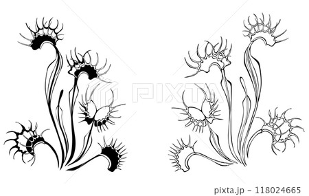 Monochrome venus flytrap 118024665