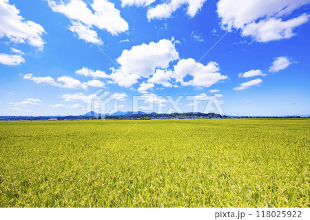 田園風景 田園風景 118025922