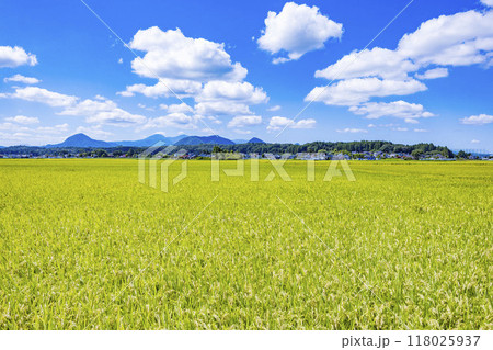 田園風景 田園風景 118025937