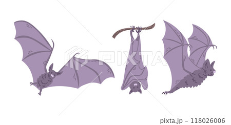 Flat hand drawn set of cute Halloween bats Flat hand drawn set of cute Halloween bats 118026006