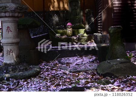 お地蔵さんと舞い散る桜の花びら 118026352