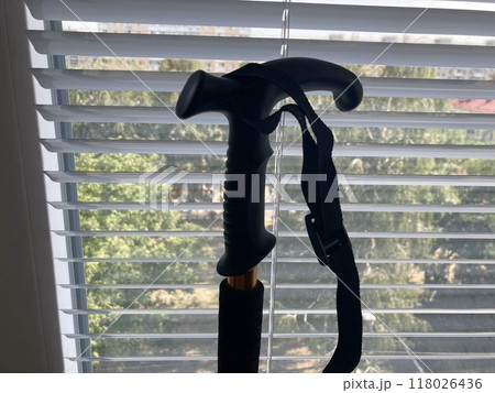 Trekking pole for mountain hiking 118026436