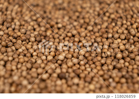 Macro Grains Coriander Natural Spice Selective Focus Macro Grains Coriander Natural Spice Selective Focus 118026859