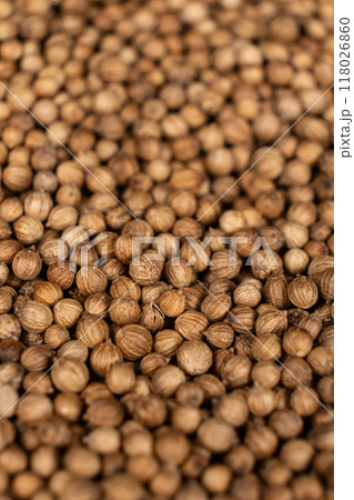 Macro Grains Coriander Natural Spice Macro Grains Coriander Natural Spice 118026860