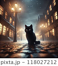 夜の猫 118027212