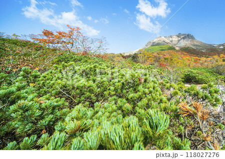 「姥ヶ平」から見る紅葉の那須岳（茶臼岳）【栃木県・那須塩原市】 118027276