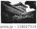 118027314