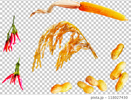 Harvest illustration material set 1 Harvest illustration material set 1 118027430
