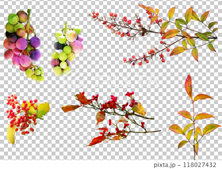 Autumn and winter fruit illustration material set 118027432
