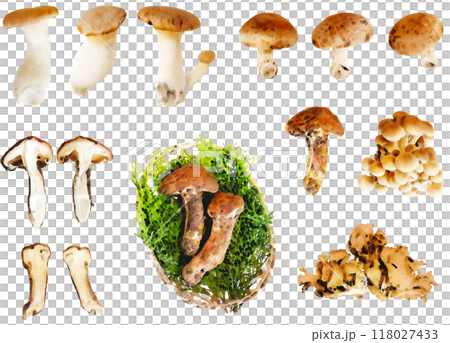 秋天的味道插畫素材集(蘑菇) 秋天的味道插畫素材集(蘑菇) 118027433