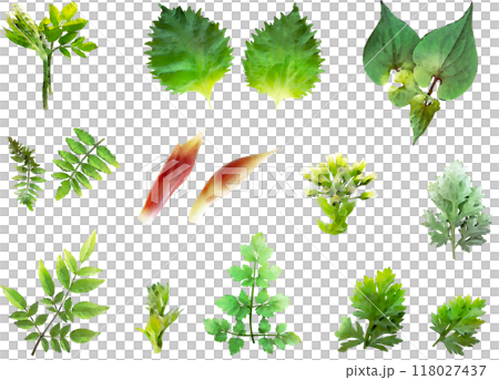 日本藥草插畫素材集 日本藥草插畫素材集 118027437