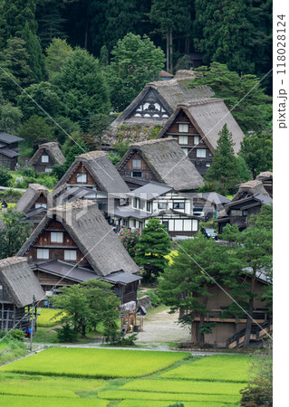 日本の原風景「白川郷」 118028124