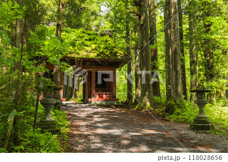 日本 長野県長野市にある戸隠神社の奥社参道と随神門 日本 長野県長野市にある戸隠神社の奥社参道と随神門 118028656