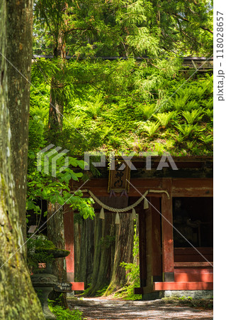日本 長野県長野市にある戸隠神社の奥社参道と随神門 日本 長野県長野市にある戸隠神社の奥社参道と随神門 118028657