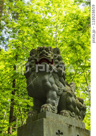 日本 長野県長野市にある戸隠神社の奥社参道沿いにある狛犬の像 日本 長野県長野市にある戸隠神社の奥社参道沿いにある狛犬の像 118028659