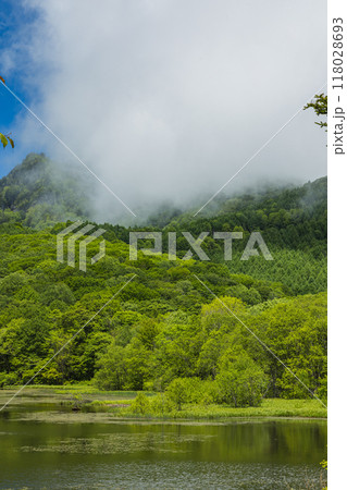 日本　長野県長野市戸隠にある新緑の木々に囲まれた鏡池から眺める戸隠連峰 118028693