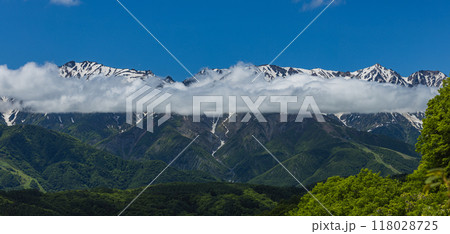 日本 長野県北安曇郡白馬村の白沢峠展望台から見える北アルプス後立山連峰 日本 長野県北安曇郡白馬村の白沢峠展望台から見える北アルプス後立山連峰 118028725