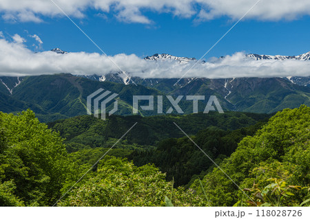 日本 長野県北安曇郡白馬村の白沢峠展望台から見える北アルプス後立山連峰 日本 長野県北安曇郡白馬村の白沢峠展望台から見える北アルプス後立山連峰 118028726