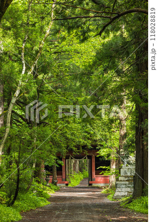 日本　長野県長野市にある戸隠神社の奥社参道と随神門 118028819