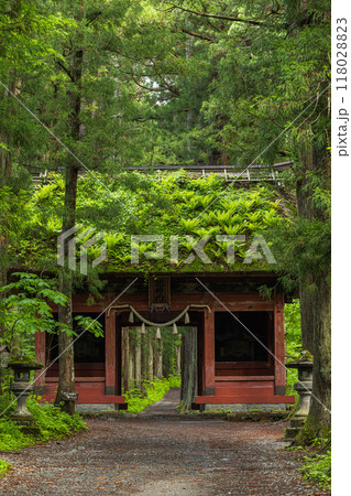 日本　長野県長野市にある戸隠神社の奥社参道と随神門 118028823