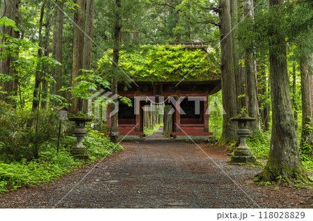 日本 長野県長野市にある戸隠神社の奥社参道と随神門 日本 長野県長野市にある戸隠神社の奥社参道と随神門 118028829