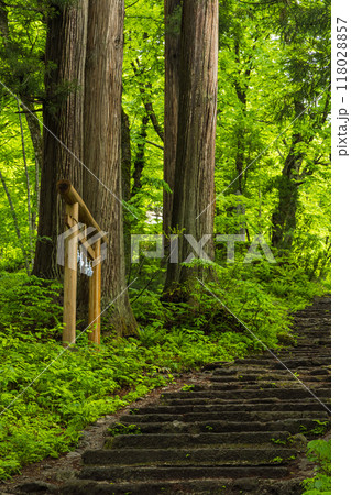 日本　長野県長野市にある戸隠神社の奥社の参道沿いにある飯縄社の鳥居 118028857