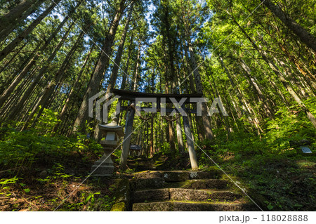 日本 長野県北安曇郡白馬村にある青鬼神社の鳥居 日本 長野県北安曇郡白馬村にある青鬼神社の鳥居 118028888