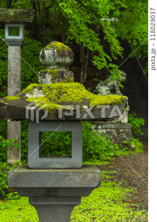 日本 長野県長野市にある戸隠神社の宝光社の境内の風景 日本 長野県長野市にある戸隠神社の宝光社の境内の風景 118029037