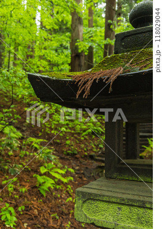 日本 長野県長野市にある戸隠神社の宝光社の境内の風景 日本 長野県長野市にある戸隠神社の宝光社の境内の風景 118029044
