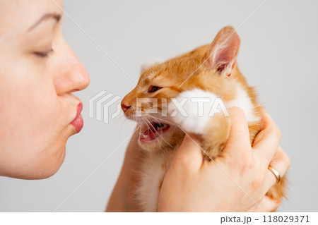 The owner kisses her cat. An angry and aggressive ginger tabby kitten does not want to play. Love for cats. Naughty cat owner. The owner kisses her cat. An angry and aggressive ginger tabby kitten does not want to play. Love for cats. Naughty cat owner. 118029371