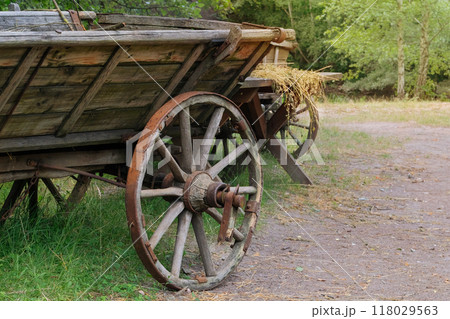 Wooden wheel. Retro wooden cart. Village vehicle in nature background. 118029563