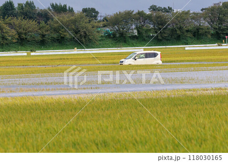 大雨による洪水で浸水した乗用車 大雨による洪水で浸水した乗用車 118030165