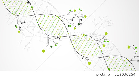 Scientific medical background with abstract image of dna molecule and tree branches. Hand drawn vector illustration. 118030254
