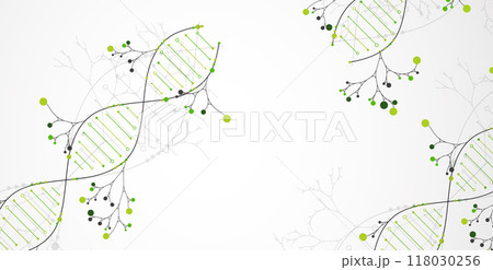 Scientific medical background with abstract image of dna molecule and tree branches. Hand drawn vector illustration. 118030256