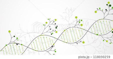 Scientific medical background with abstract image of dna molecule and tree branches. Hand drawn vector illustration. 118030259