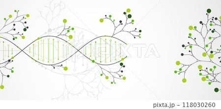 Scientific medical background with abstract image of dna molecule and tree branches. Hand drawn vector illustration. 118030260