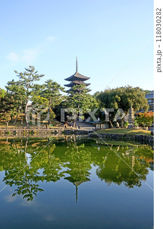 奈良・秋の朝、猿沢池と興福寺 五重塔 奈良・秋の朝、猿沢池と興福寺 五重塔 118030282