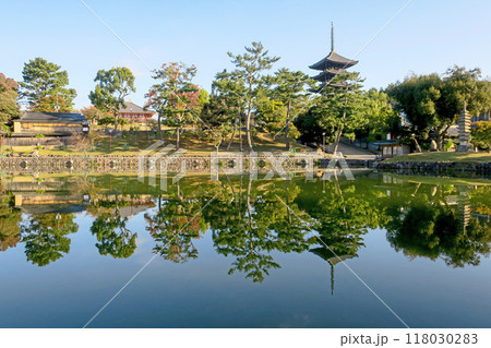 奈良・秋の朝、猿沢池と興福寺 五重塔 奈良・秋の朝、猿沢池と興福寺 五重塔 118030283