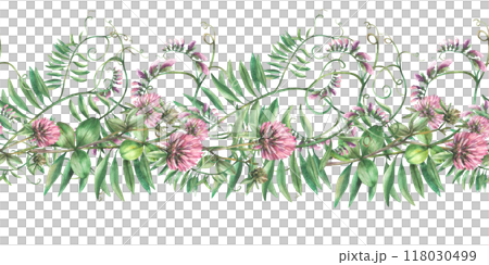 Clover sprig with pink flowers, leaves and Mouse pea climbing plant. Wildflowers seamless border, pattern. Watercolor Hand drawn illustration. Meadow field wild herbs Clipart isolated from background  Clover sprig with pink flowers, leaves and Mouse pea climbing plant. Wildflowers seamless border, pattern. Watercolor Hand drawn illustration. Meadow field wild herbs Clipart isolated from background  118030499