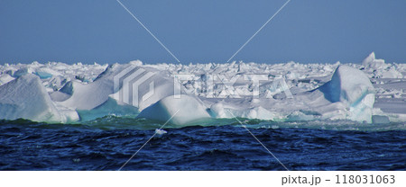 Edge of Pack Ice 80 N, Arctic Edge of Pack Ice 80 N, Arctic 118031063