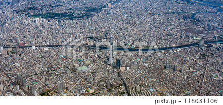 東京都心の風景と東京スカイツリー　空撮 118031106